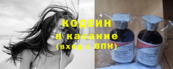 ПСИЛОЦИБИНОВЫЕ ГРИБЫ Арсеньев