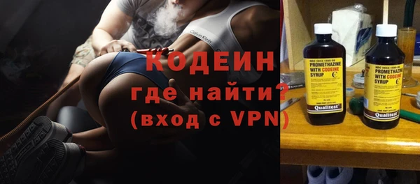 ПСИЛОЦИБИНОВЫЕ ГРИБЫ Арсеньев