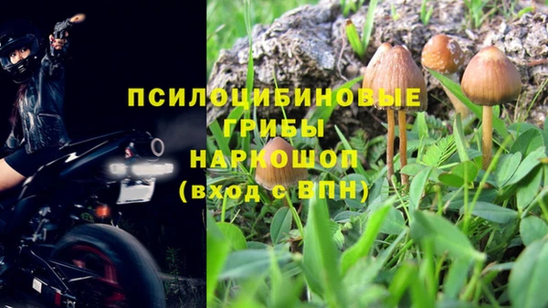 мдпв Армянск