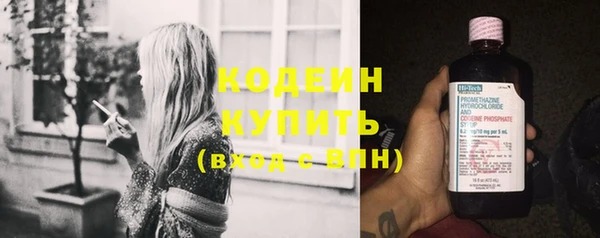 ПСИЛОЦИБИНОВЫЕ ГРИБЫ Арсеньев