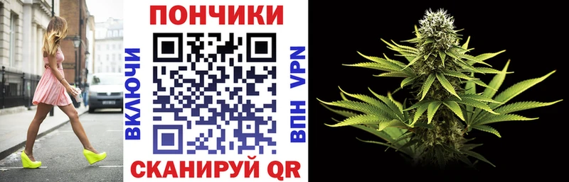 Бошки марихуана планчик  Правдинск 